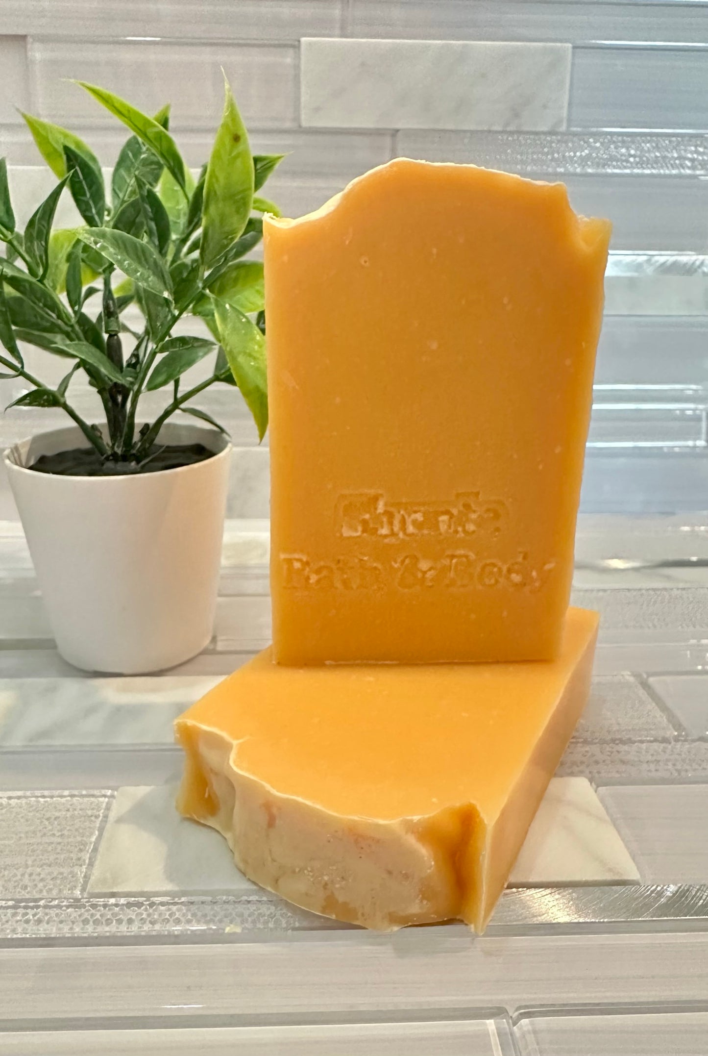 Seaside Citrus & Coconut Milk Soap